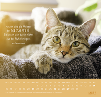 Zusatzmaterial PA 4036442014660 innen 012 von Wandkalender 2027: Für Katzenfreunde