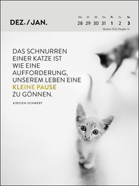 Zusatzmaterial PA 4036442014783 innen 011 von Wochenkalender 2027: Goldene Katzenweisheiten für jeden Tag