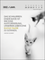 Zusatzmaterial PA 4036442014783 innen 011 von Wochenkalender 2027: Goldene Katzenweisheiten für jeden Tag