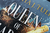 Zusatzmaterial PA 978 3 426 56090 7 detail 036 von Queen of Shadows and Ruin: Das Nachtfeuer-Quartett 4 von Nisha J. Tuli