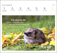 Zusatzmaterial PA 4036442014585 innen 012 von Postkartenkalender 2027: Was ich dir wünsche für jeden Tag