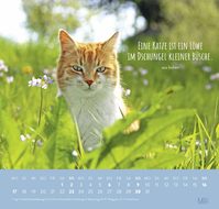 Zusatzmaterial PA 4036442014660 innen 013 von Wandkalender 2027: Für Katzenfreunde
