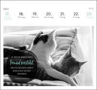 Zusatzmaterial PA 4036442014561 innen 012 von Postkartenkalender 2027: Inspirierende Worte für Katzenfreunde