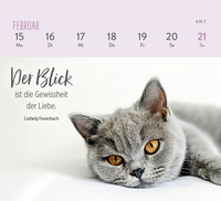 Zusatzmaterial PA 4036442014301 innen 012 von Mini-Wochenkalender 2027: Für Katzenfreunde