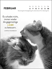 Zusatzmaterial PA 4036442014783 innen 015 von Wochenkalender 2027: Goldene Katzenweisheiten für jeden Tag