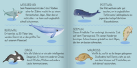 Zusatzmaterial PA 4260308345463 innen 012 von Meine erste Puzzle-Box. Der Ozean: Illustrationen von Carolina Grosa. Ab 4 Jahren von Carolina Grosa