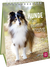 Produktbild von Hunde sind die besten Freunde