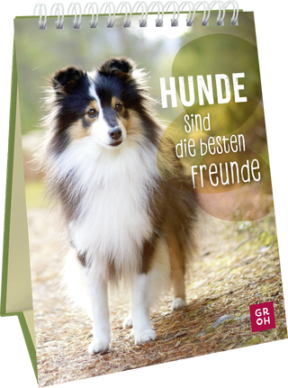 Produktbild von Hunde sind die besten Freunde