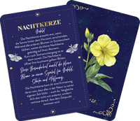 Zusatzmaterial PA 978 3 8485 0454 1 innen 016 von Orakelkarten: Die geheimnisvolle Weisheit der Nacht: 50 magische Orakelkarten von Kristin Funk