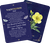 Zusatzmaterial PA 978 3 8485 0454 1 innen 016 von Orakelkarten: Die geheimnisvolle Weisheit der Nacht: 50 magische Orakelkarten von Kristin Funk