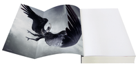 Zusatzmaterial PA 978 3 426 44796 3 innen 012 von A Whisper of Wings: Roman von Carina Schnell