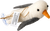 Zusatzmaterial PA 4036442015353 innen 011 von Küstenschätzchen, Möwe