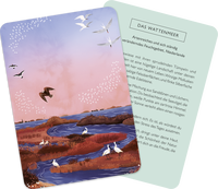 Zusatzmaterial PA 4036442013021 innen 014 von Meditationskarten: Meine innere Reise: 55 Karten zum Träumen und Entspannen von Alison Davies, Amy Grimes
