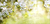 Zusatzmaterial PA 978 3 8485 0400 8 innen 014 von Zur Goldenen Hochzeit die besten Wünsche