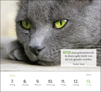 Zusatzmaterial PA 4036442015001 innen 015 von Wochenkalender 2027: Kluge Katzen