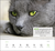 Zusatzmaterial PA 4036442015001 innen 015 von Wochenkalender 2027: Kluge Katzen