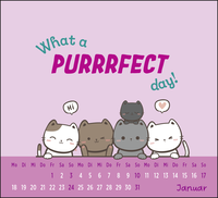 Zusatzmaterial PA 4036442014516 innen 011 von Mini-Kalender 2027: Der kleine Katzenliebe Kalender