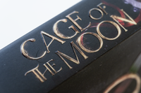 Zusatzmaterial PA 978 3 426 56475 2 detail 037 von Cage of the Moon: Roman von Noah Stoffers