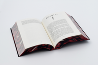 Zusatzmaterial PA 978 3 426 56686 2 detail 037 von Blood and Steel: Die Legenden von Thezmarr 1 von Helen Scheuerer