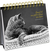 Zusatzmaterial PA 978 3 8485 2058 9 innen 02 von Inspirierende Worte für Katzenfreunde