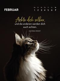 Zusatzmaterial PA 4036442014783 innen 014 von Wochenkalender 2027: Goldene Katzenweisheiten für jeden Tag