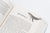 Zusatzmaterial PA 978 3 426 56533 9 detail 038 von Be a Light in the Dark Sea 1 von SoftCoral