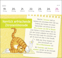 Zusatzmaterial PA 4036442014547 innen 013 von Postkartenkalender 2027: Om-Katze: In der Ruhe liegt die Kraft von Lisa Manneh