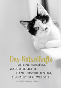 Zusatzmaterial PA 4036442014431 innen 011 von Buchkalender 2027: Für Katzenfreunde