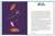 Zusatzmaterial PA 978 3 8485 0095 6 innen 08 von Wassermann: Ein edles Geschenkbuch über die Kraft der Astrologie von Stella Andromeda