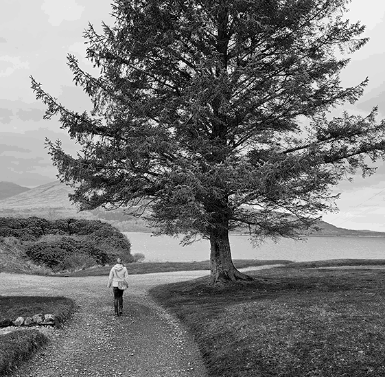 Portrait von Lucia Bay