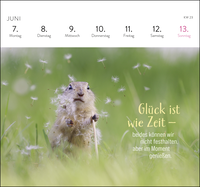 Zusatzmaterial PA 4036442014790 innen 012 von Postkartenkalender 2027: Kleine Glücksbringer für dein Jahr von Julian Rad