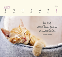 Zusatzmaterial PA 4036442014301 innen 014 von Mini-Wochenkalender 2027: Für Katzenfreunde