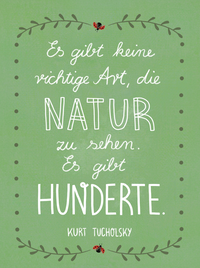 Zusatzmaterial PA 978 3 8485 0411 4 innen 014 von Lebe wild und voller Wunder von Emily Claire Völker