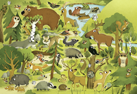 Zusatzmaterial PA 4260308345470 innen 013 von Meine erste Puzzle-Box. Der Wald: Puzzle-Set für Kinder ab 4 Jahren mit Illustrationen von Carolina Grosa von Carolina Grosa