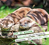 Zusatzmaterial PA 978 3 8485 0361 2 innen 013 von Tierisch happy jeden Tag von Paulus Vennebusch