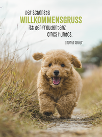 Zusatzmaterial PA 978 3 8485 0234 9 innen 011 von Hunde sind die besten Freunde