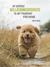Zusatzmaterial PA 978 3 8485 0234 9 innen 011 von Hunde sind die besten Freunde
