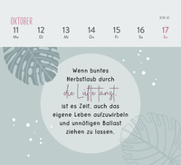Zusatzmaterial PA 4036442014387 innen 015 von Mini-Wochenkalender 2027: Einatmen. Ausatmen. Sein.