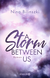 Buchcover von A Storm Between Us: Roman von Nina Bilinszki