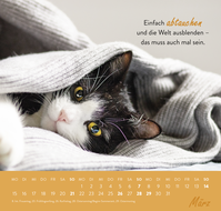 Zusatzmaterial PA 4036442014684 innen 011 von Wandkalender 2027: Einfach mal abhängen