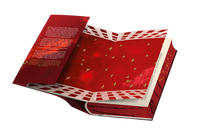 Zusatzmaterial PA 978 3 426 56613 8 detail 032 von To Cage a Wild Bird: Verlier dein Leben. Oder dein Herz von Brooke Fast
