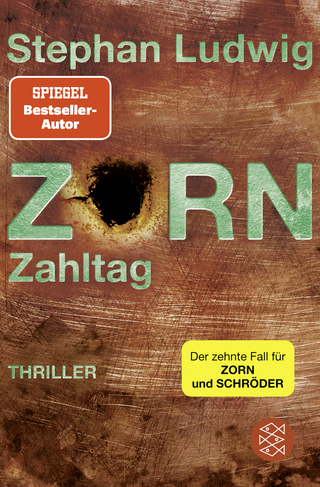 Buchcover von Zorn - Zahltag: Thriller