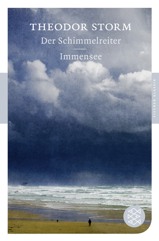Buchcover von Der Schimmelreiter / Immensee: Erzählungen