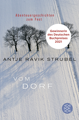 Buchcover von Vom Dorf: Abenteuergeschichten zum Fest