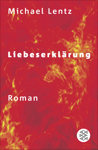 Buchcover von Liebeserklärung: Roman