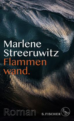 Buchcover von Flammenwand.: Roman mit Anmerkungen. von Marlene Streeruwitz