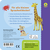 Zusatzmaterial 9783737375979 U4 von Baby's First Picture Dictionary: Animals: ab 12 Monaten von Carla Felgentreff, Iris Blanck