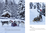 Zusatzmaterial PA 978 3 7373 7338 8 innen 003 von Ein wunderbares Weihnachtsfest von Lori Evert, Per Breiehagen