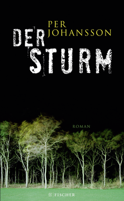 Buchcover von Der Sturm: Roman von Per Johansson