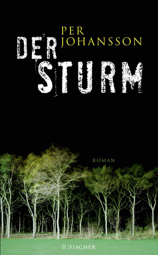 Buchcover von Der Sturm: Roman